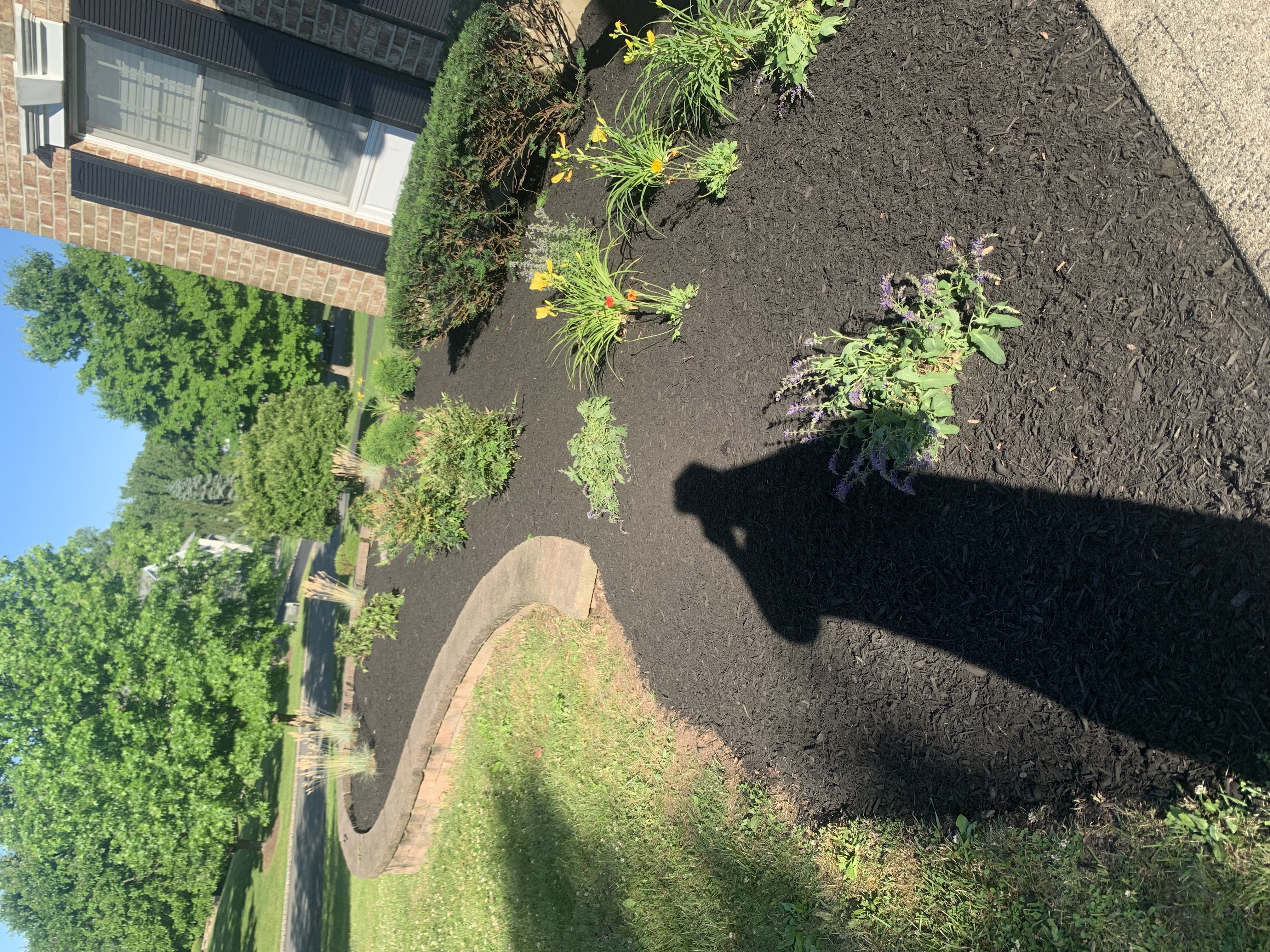 Landscaping Plainfield NJ | Dynamic Landscaping